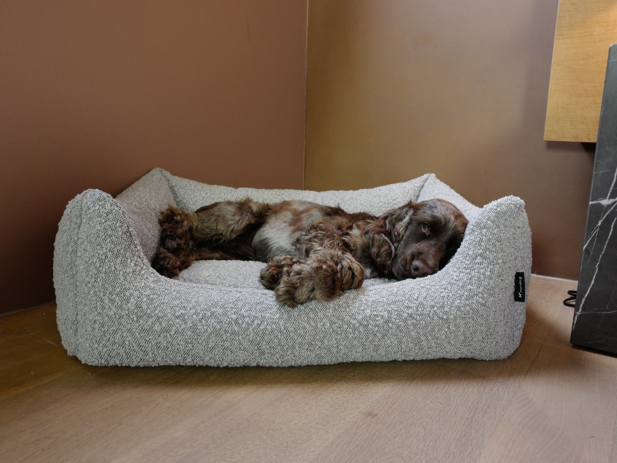 Billy bouclé dog bed in taupe