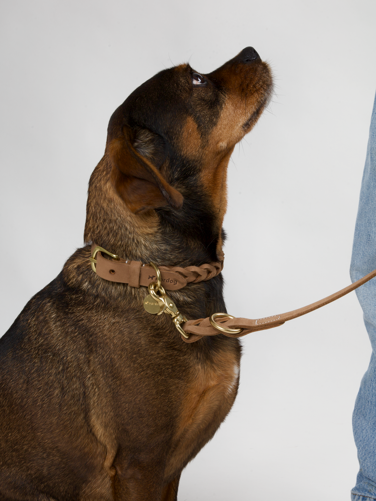 Hugo braided leather dog collar in nougat