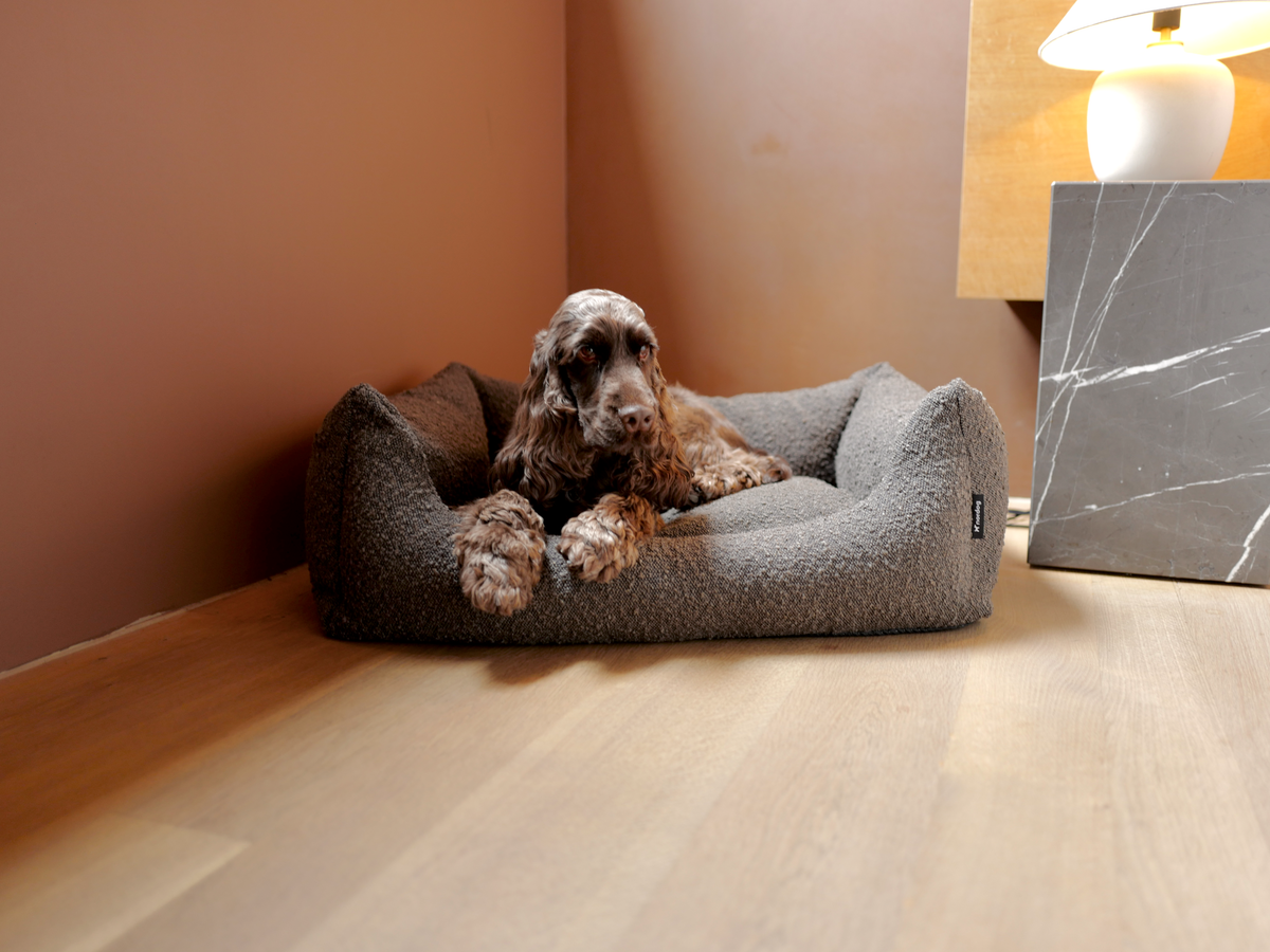 Billy bouclé dog bed in mocca