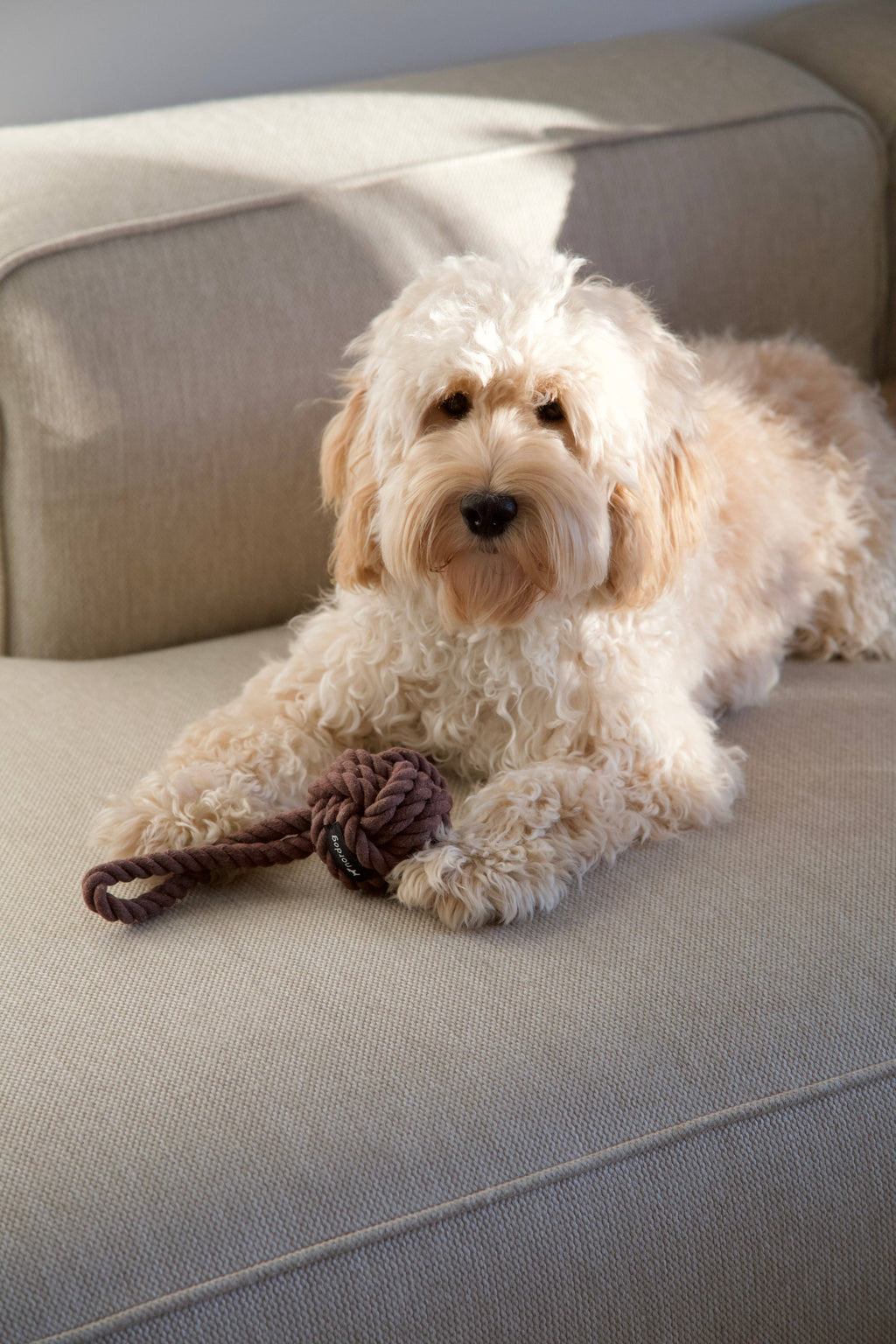 Nordog rope dog toy in choco