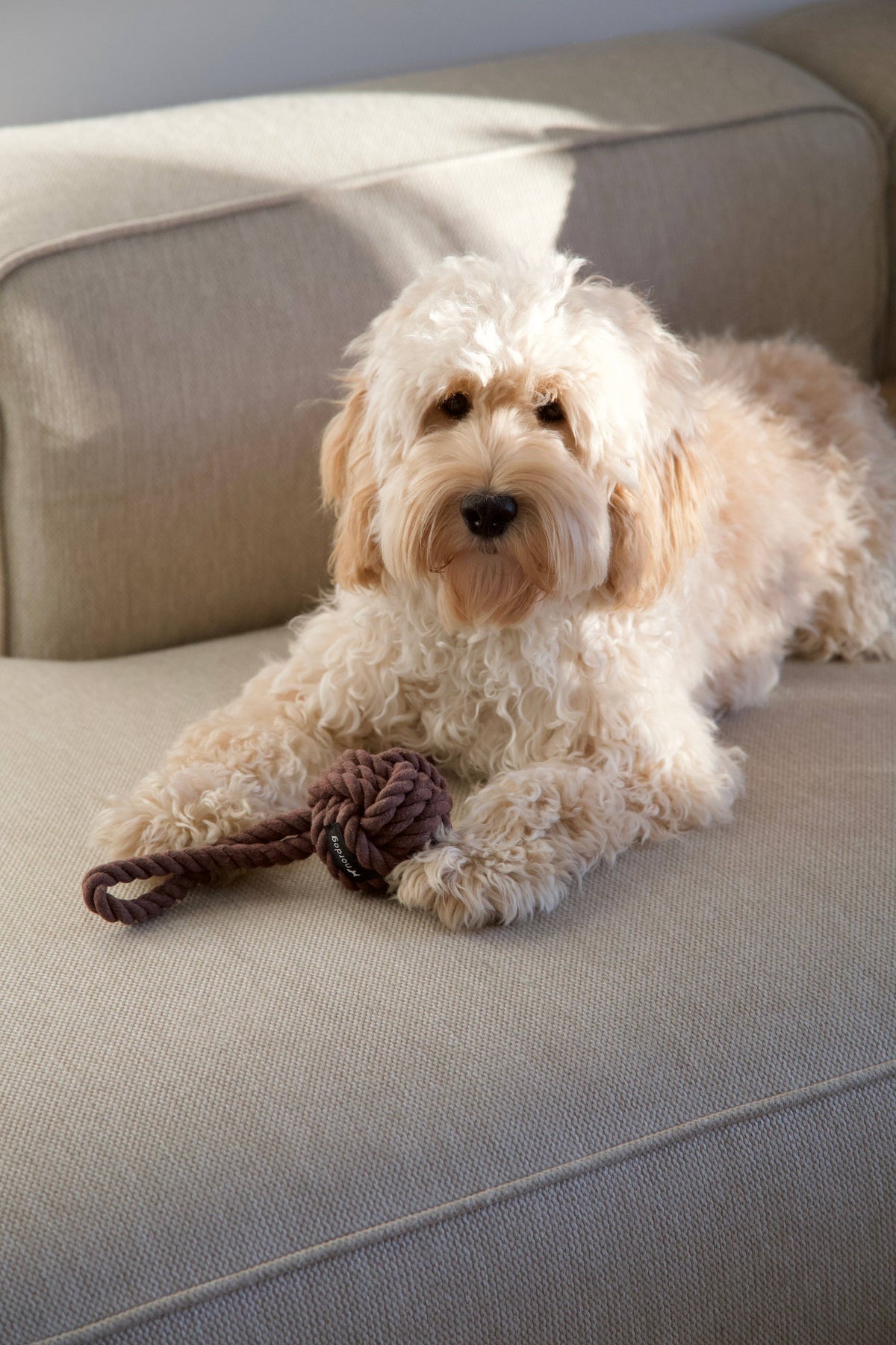 Nordog rope dog toy in choco