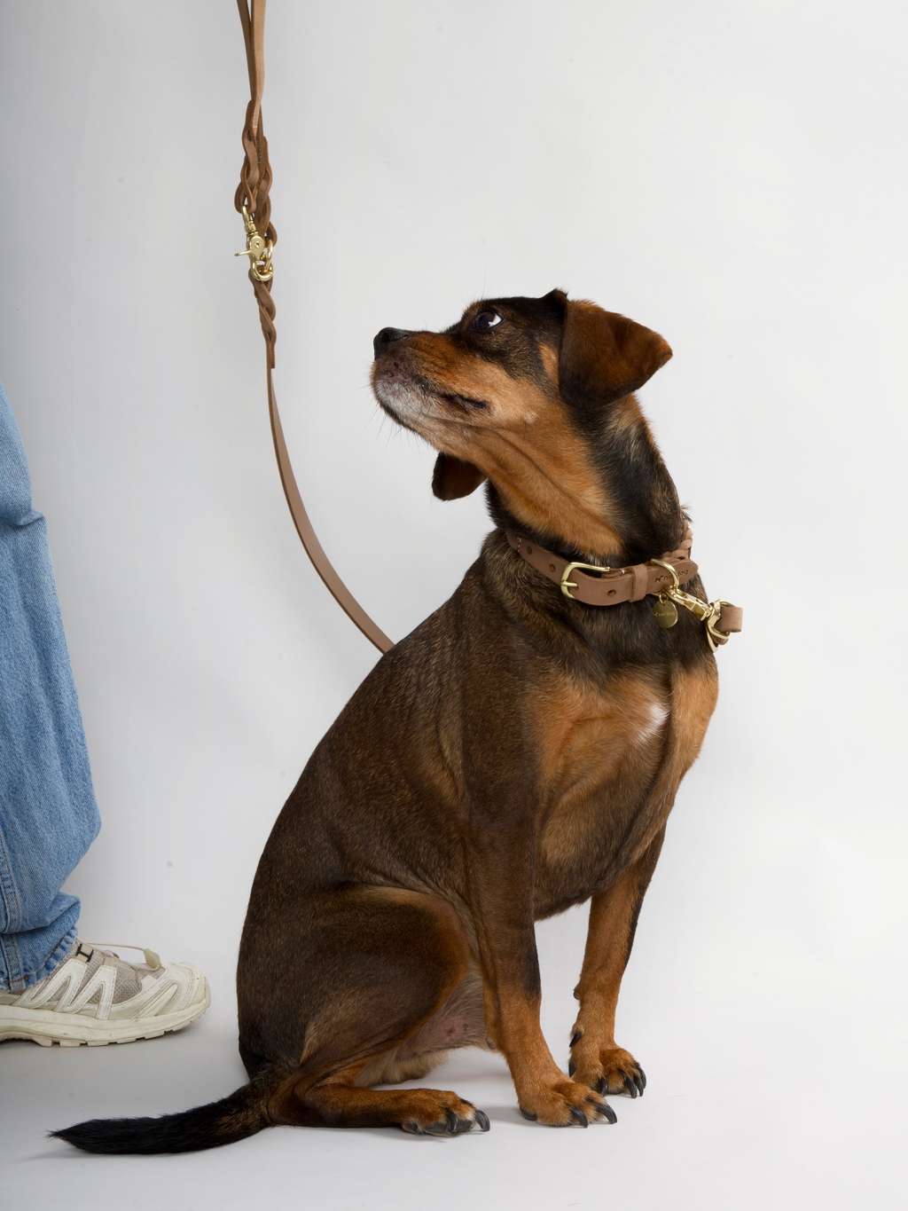 Hugo braided leather dog leash in nougat