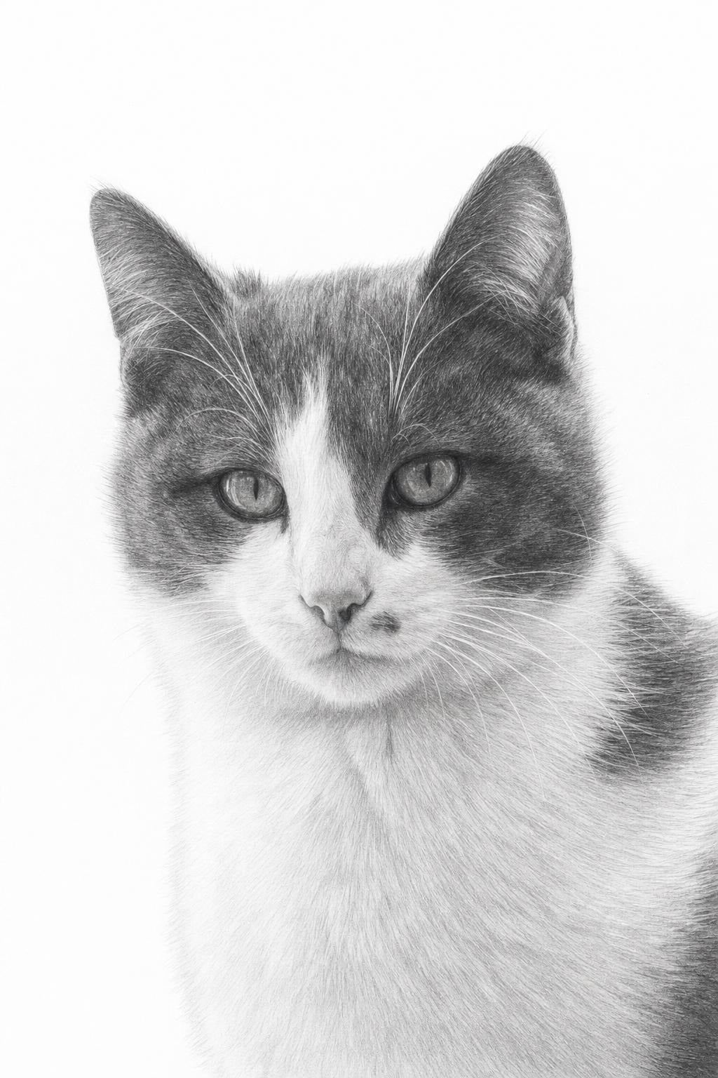 AI memorial pet portrait in Pencil Sketch style